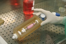Harvard Apparatus 3D Bioreactor